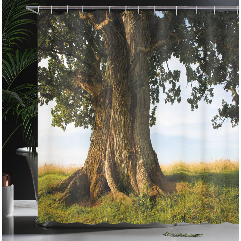 Shower Curtain with Hooks Included, 84"H x 69"W