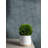 Gracie Faux Boxwood Topiary-2145376692