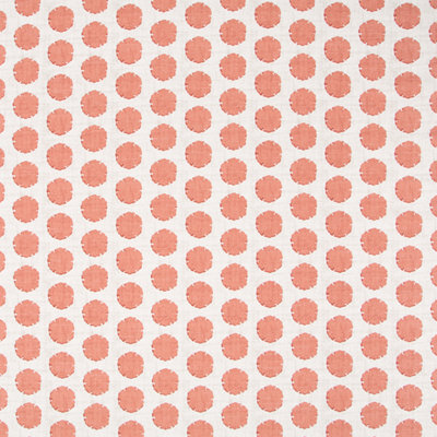 100% Cotton Fabric