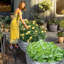 Lit de jardin surélevé galvanisé argent-108830255