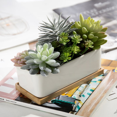 Ember 5.5'' Faux Succulent in Pot