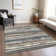 Machine Washable Indoor/Outdoor Chayden ACN1019 Charcoal Rug