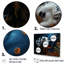 «Dalmatian Dream I», reproduction sur toile-1324032017-1324032237