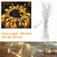 Guirlandes lumineuses-679767068