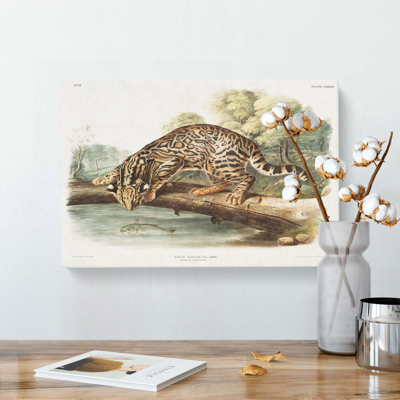 Leopard-Cat by J.W. Audubon - Wrapped Canvas, 50cm H x 76cm W x 3cm D