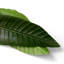Artificial Flowers And Greenery Strelitzia Plant