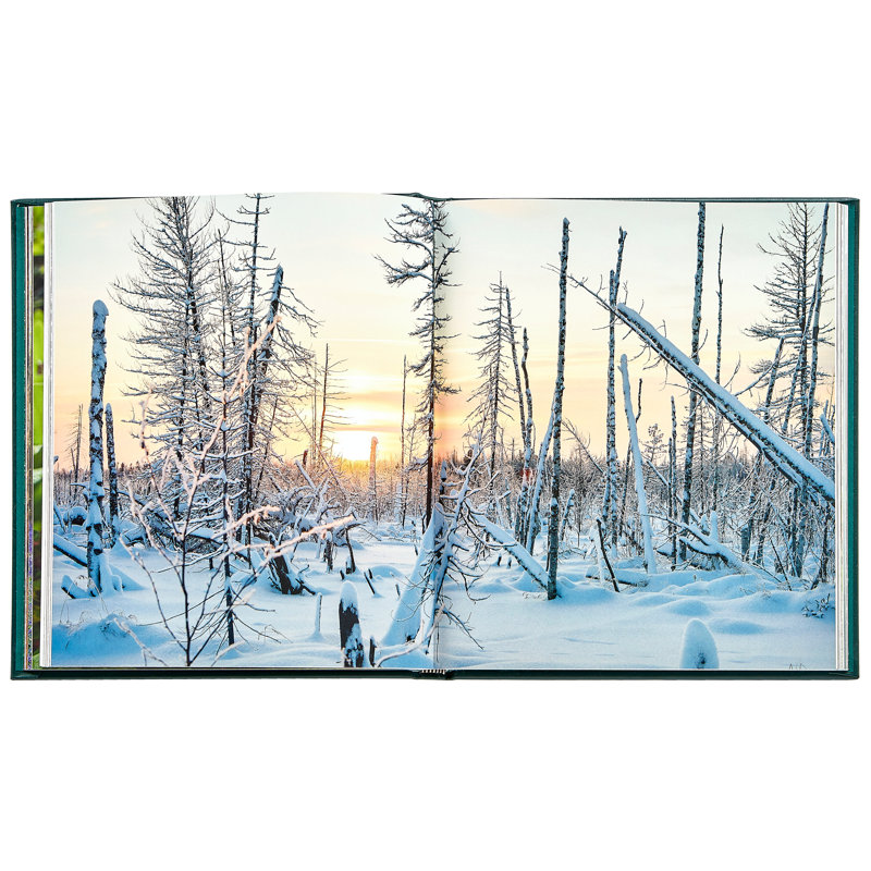 The Hidden Life Of Trees Leather Bound Book