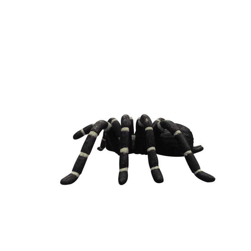 Tarantula Spider Insect Over Sized Statue