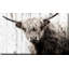 Highland Prise par - impression-1640136260-1640136263