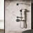Occasion Single-Function 2.5 Gpm Handshower