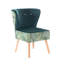 Aadil Velvet Slipper Chair