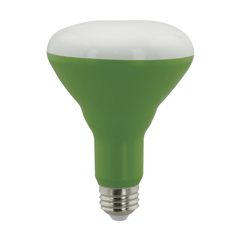 9 Watt Green LED Bulb
