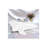 Satin - Set of 2