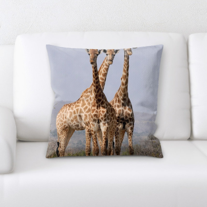 Coussin sud afrique south