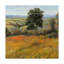 «Field in Summer» par Timothy O 'Toole - reproduction sur toile non encadrée-33520739