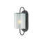Glacier 1 - Light Flush Mounted Sconce-1911000292