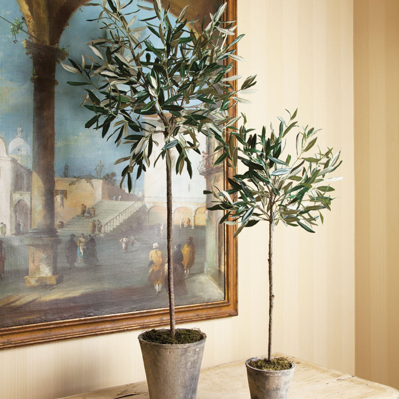 Conservatory Faux Olive Tree Tree in Ceramic Pot, 46" H x 7.75" W x 7.75" D