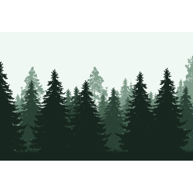 Green Coniferous Fores by FORGEM - Wrapped Canvas Print, 30cm H x 46cm W