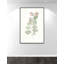 «Florida Leaves II», reproduction d'art-55542457-55542471