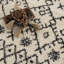 Tapis beige / noir à poils longs Adeen-243960887