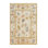 Oriental Indoor Rug