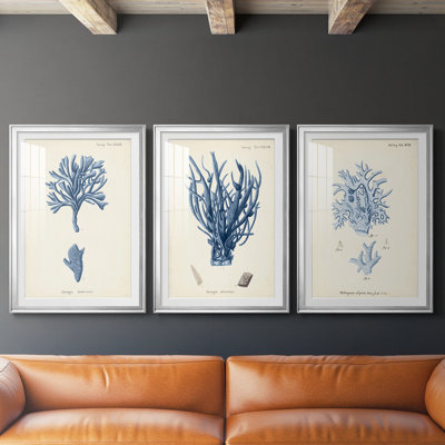 Corail antique en bleu marine IV - reproduction sur mesure encadrée de qualité supérieure - 3 pièces