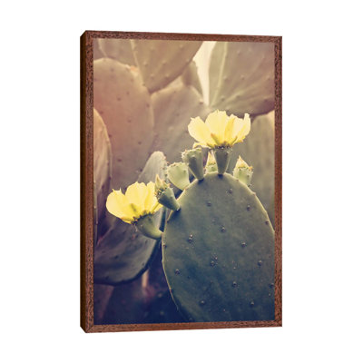 Desert Rose by Ann Hudec - Print on Canvas