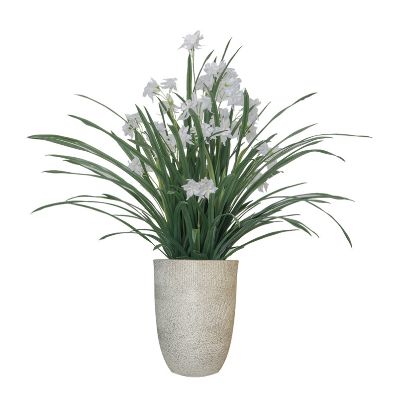 Herbe de citron 42 po avec fleurs blanches en pot rond et panier en corde (H 30 po x 30 po x 34 po)