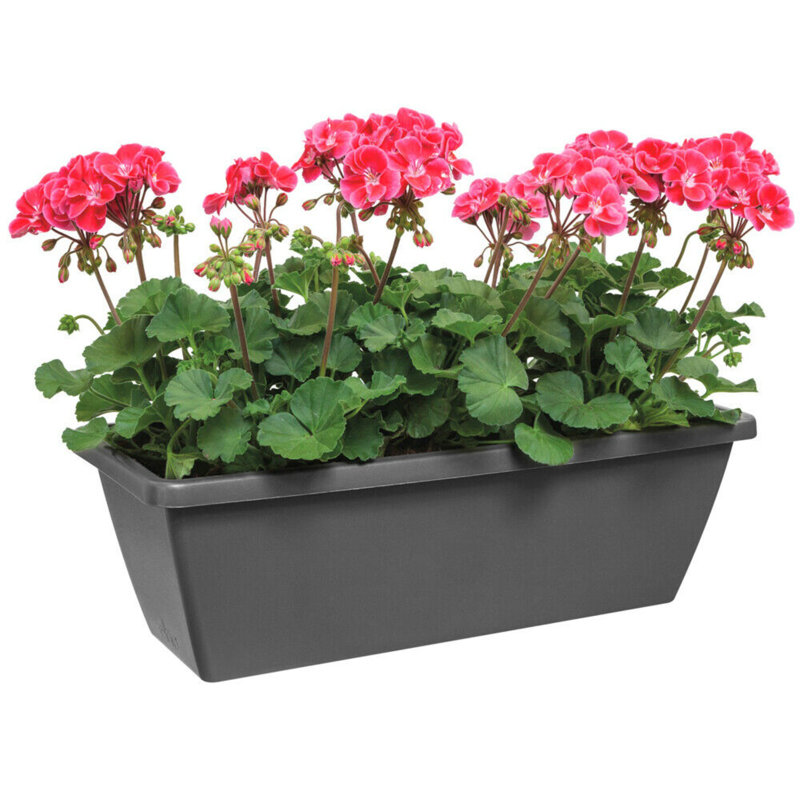 Adhya Plant Pot, Grey