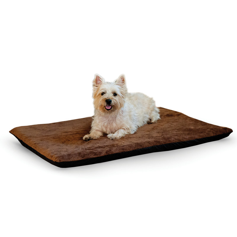 Coussin Thermo-Ortho avec fond «Stay Put», Très grand (l 43 po x P 33 po x H 3 po), Chocolat