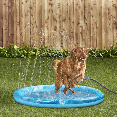 Ferit 0.04'' PVC Foldable Dog Pool