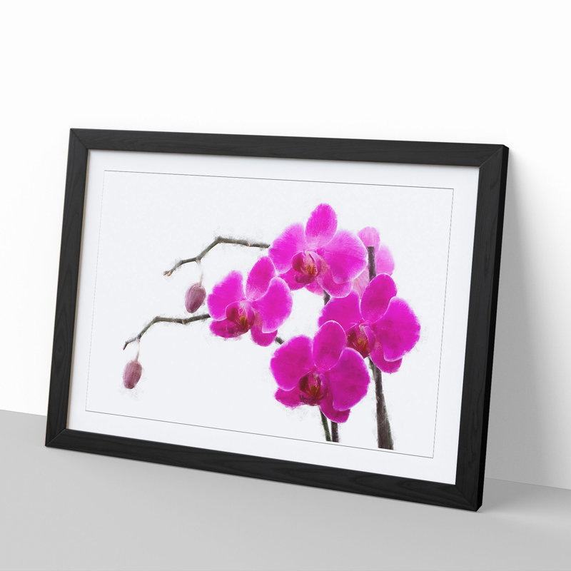 Orchid Flowers Vol.2 - Framed Print, 36cm H x 48cm W x 2cm D, Black Framed