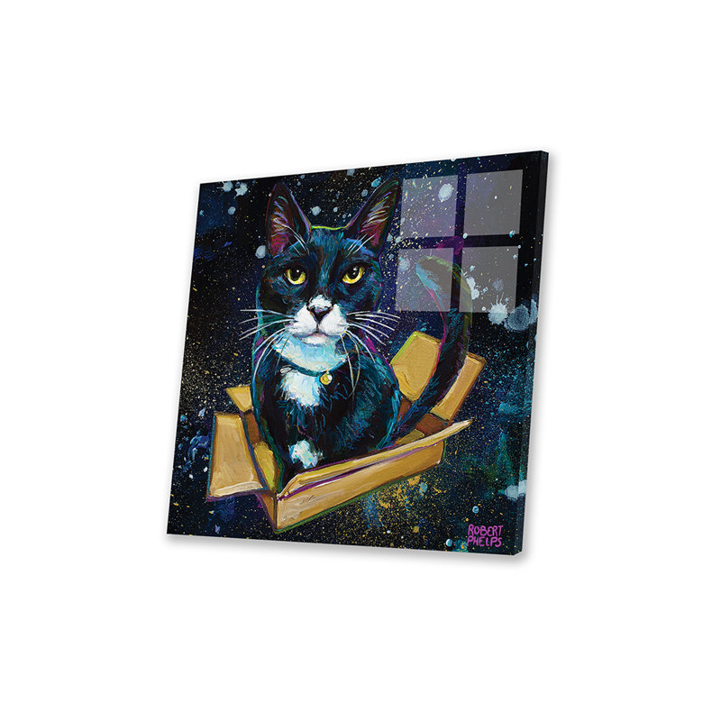 Chat tuxedo dans l'espace