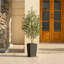 Adcock Faux Olive Tree with UV Protection, 2 Natural Tree Trunks, Large Decorative Potted Olive Tree-307165304-307165307