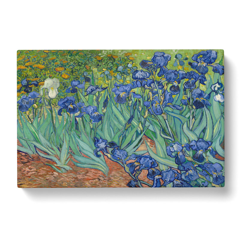 Irises by Vincent Van Gogh - Wrapped Canvas, 35cm H x 50cm W x 3cm D