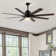 66'' Ceiling Fan with LED Lights