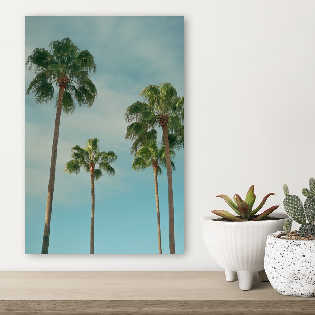 Tall Tropical Palms Peaceful Serene Tranquil Palm Tree Nature Summer Wall Art Print