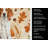 Orange and White Pointer Heirloom Fall Kitchen Towel-1218231550