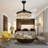Bipnesh Ceiling Fan with Light Kit