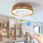Ventilateur de plafond tressé 21 po Bohemian, télécommande silencieuse avec fonction de minuterie, température de couleur réglable, convient à la chambre à coucher et au salon