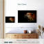 Flammes de tigre Brampt-108709500