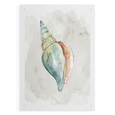 Pastel Shell II -Canvas Print Only - NOT FRAMED