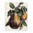 Wall Plaque selected