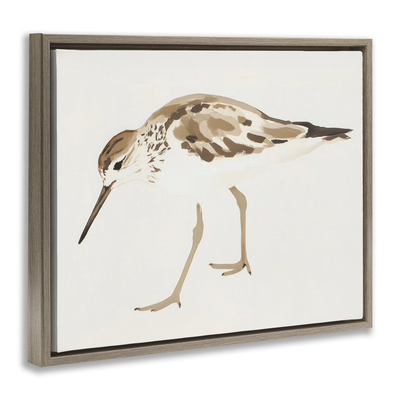Cadre flottant Sandpiper Shore Bird, H 17 po x l 21 po, Cadre flottant orme Montalcino