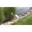 Art de jardin blanc pelican american
