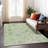 Machine Washable Indoor/Outdoor Xhevrie Aloe Rug-1061704844