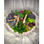 Succulent Design on White Circular Wood Vase | Rare Succulents and Small Plants