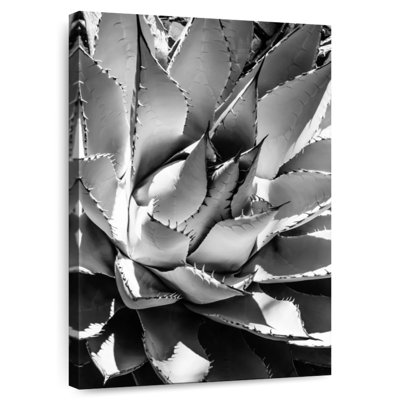 Harnek noir Arizona - Agave