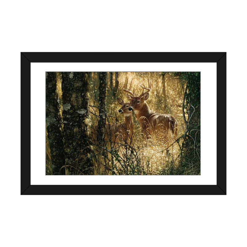 A Golden Moment - Whitetail Deer, Horizontal par Collin Bogle - Estampe numérique sur toile tendue sur châssis, Blanc
