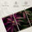 Lavander Marijuana-106045494